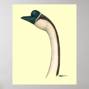 Poster Ganso:  Cabeça do chinês de Brown