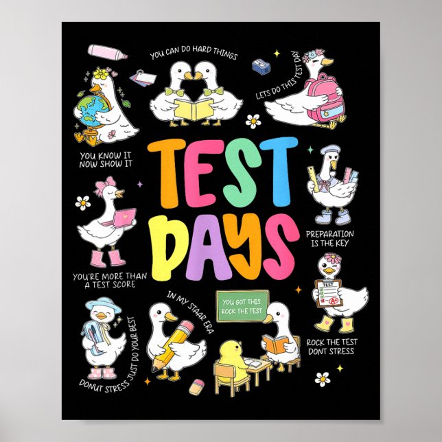 Poster Ganso do Dia de Teste Divertido Dia de Teste STAAR (Frente)