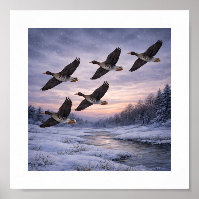 Poster Gansos-de-frente-branca na Winter –  (Frente)