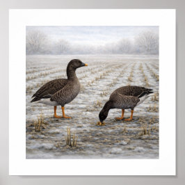 Poster Gansos-feijão em um Campo de Inverno – Ave Selvage