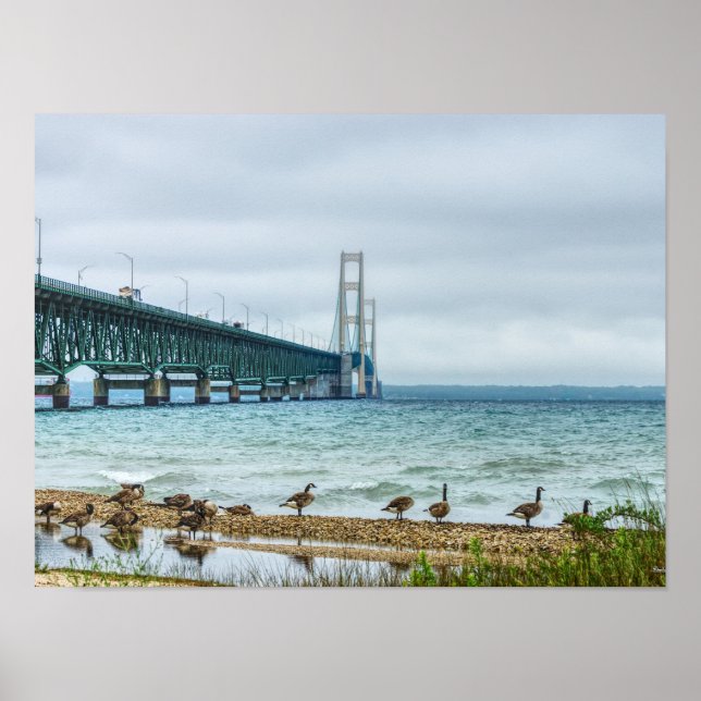 Poster Gansos No Mighty Mac (Frente)