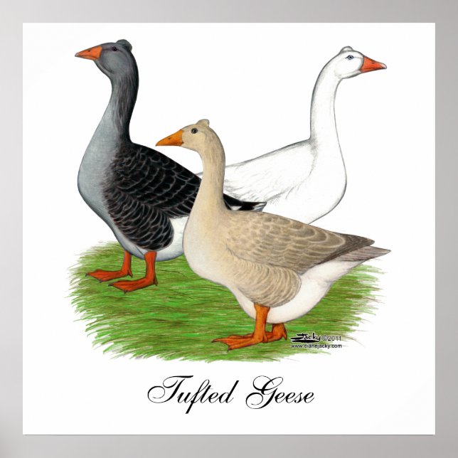 Poster Gansos: Trio Tufted (Frente)