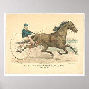 Poster Garanhão Palo Alto trotar por Electioneer (1791A)