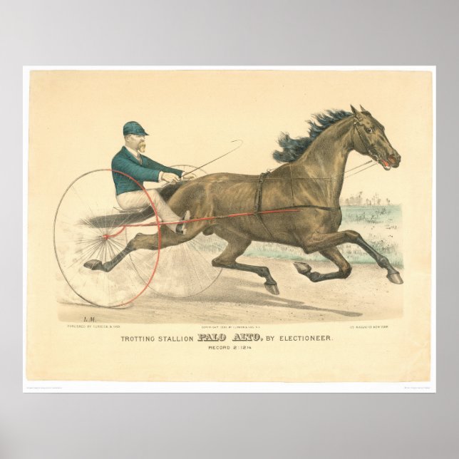 Poster Garanhão Trotting Palo Alto por Eletioneer (1791A) (Frente)