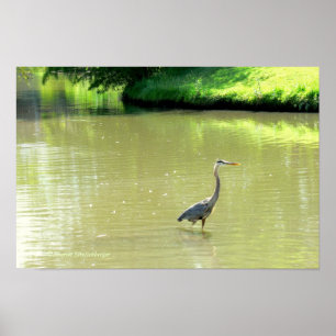 PÓSTER GARÇA NO LAGO/TOMALIDADES DE VERDE/AMARELO/FOTOG.
