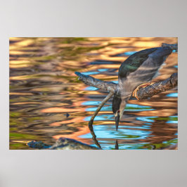 Poster Garça Pescando à Beira do Lago