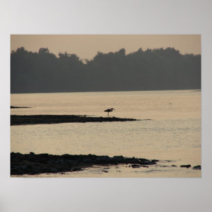 Póster Garça-real azul no rio Mississípi no por do sol
