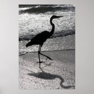 Póster Garça-real que anda na costa