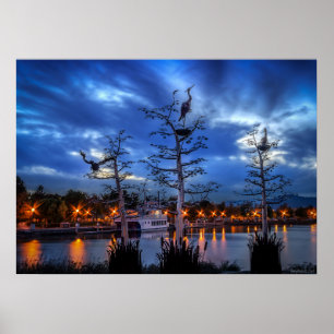 Poster Garças-reais do beira-rio