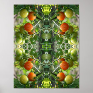 Poster Garden Chertomates Abstrato Natureza