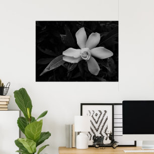 Poster Gardenia - Nó