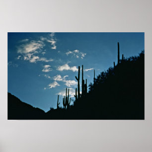 Póster Garganta de Sabino, arizona