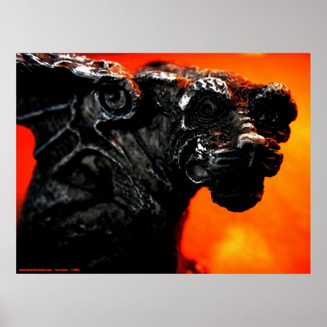 Poster Gargoyle e Fire (Frente)