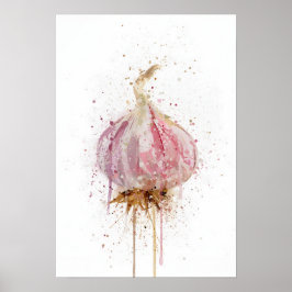 Poster Garlic Bulb Vegetable