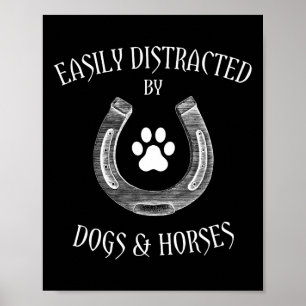 Poster Garota Do Campo E Roupa De Ama De Cavalo - Facilme