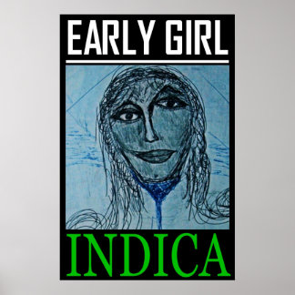 POSTER GAROTA PRECOCE INDICA