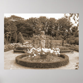 Poster Garota Tímida nas Rosas