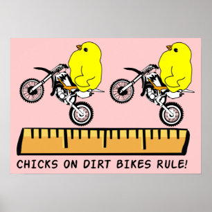 Poster Garotas Em Bicicletas Off-Road Dominam Cartaz Impr