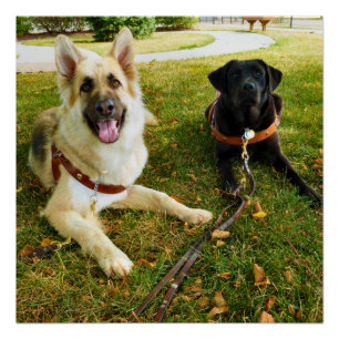 Póster Garotas trabalhadoras  