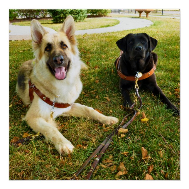 Póster Garotas trabalhadoras (Frente)