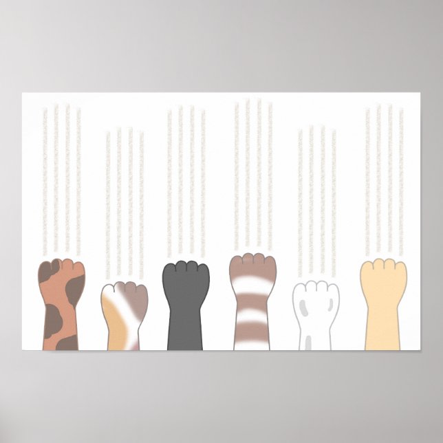 Poster Garras de gato fofas que deixam arranhões. (Frente)