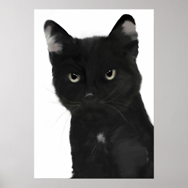 Poster Gary, o gato preto (Frente)