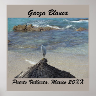 Poster Garza Blanca em Puerto Vallarta aqua
