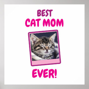POSTER GATA MÃE MÃE SEMPRE PET AMOR DIA DAS MÃES CÃO