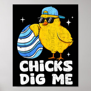 Poster Gatas Engraçadas Me Dão Dignidade Para Homens Meni