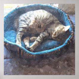 Póster Gatinha tira um cochilo, Gato Tabby aquarela dormi