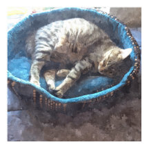 Gatinha tira um cochilo, Gato Tabby aquarela dormi