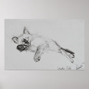 Póster Gatinho 'Bebê'