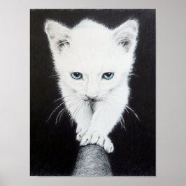 Póster Gatinho branco fofo Desenho de animal Arte Amantes