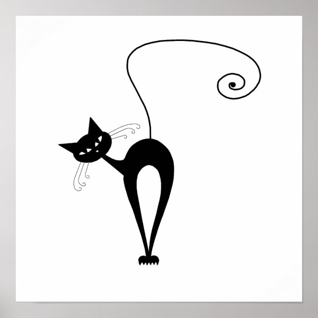 Póster Gatinho branco preto 3 (Frente)