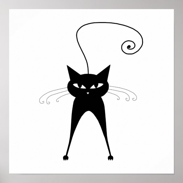 Póster Gatinho branco preto 6 (Frente)