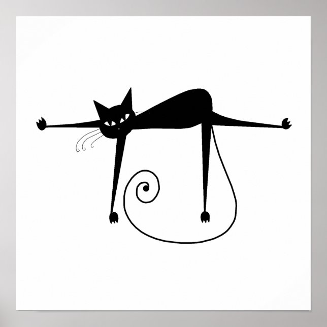 Póster Gatinho branco preto 8 (Frente)