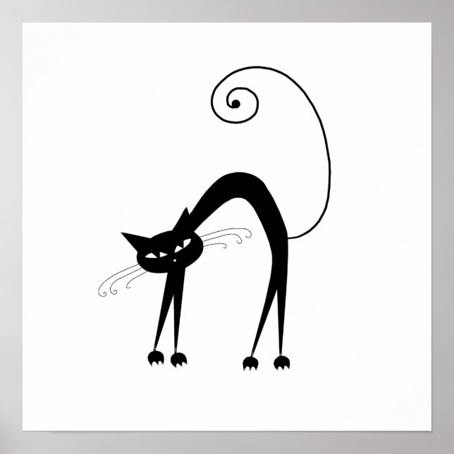 Póster Gatinho branco preto 9 (Frente)
