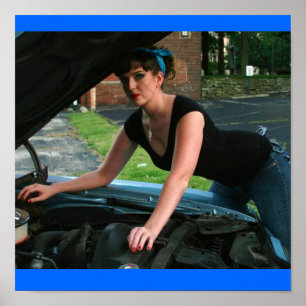 Poster Gatinho da graxa