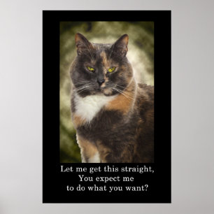 Póster Gatinho De Caneca - Faça O Que Quer?