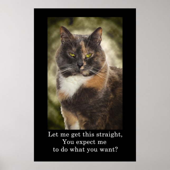 Póster Gatinho De Caneca - Faça O Que Quer? (Frente)