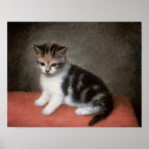 Póster Gatinho de George Stubbs da senhorita Ann