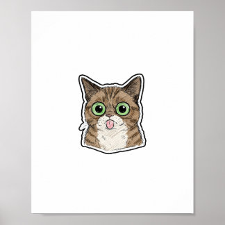 Poster Gatinho de Olhos Arregalados