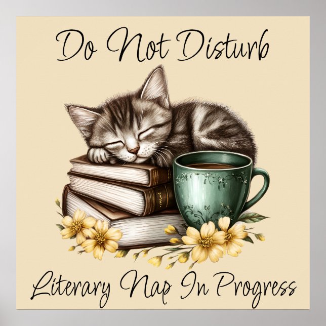 Poster Gatinho do Precioso do Gatinho de dormir (Frente)