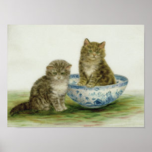 Póster Gatinho em uma bacia azul de China