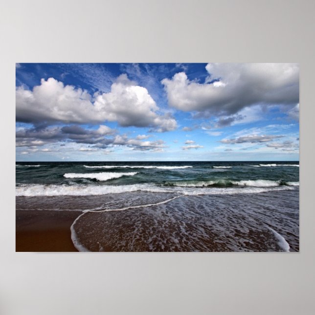 Poster Gatinho Hawk Surf (Frente)