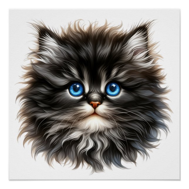 Póster Gatinho liso adorável com olhos azuis (Frente)