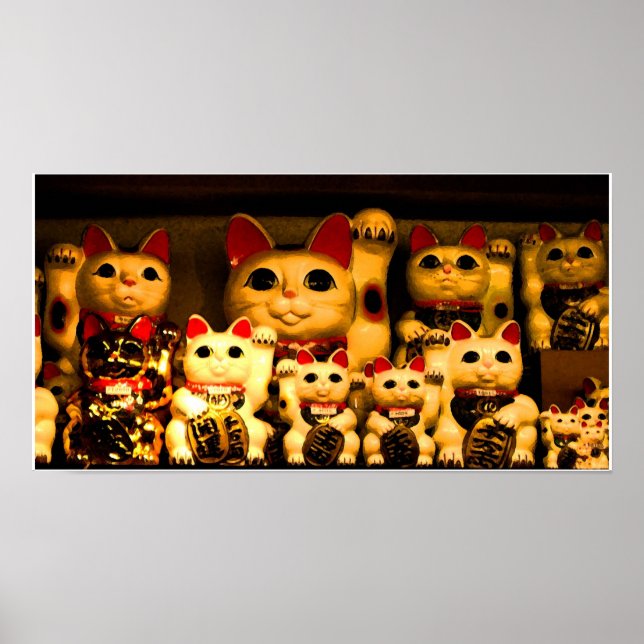 Poster Gatinho Lucky Beconing (Frente)