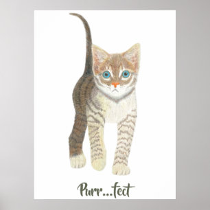 Poster Gatinho Malhado Branco