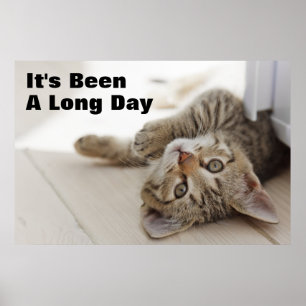 Poster Gatinho pequeno bonito