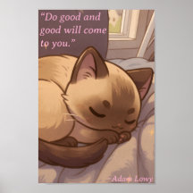 Gatinho Positivo e Pacífico